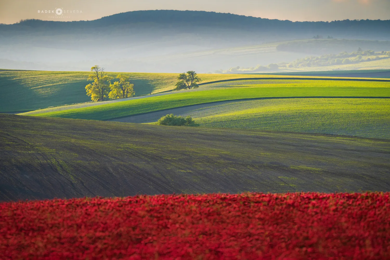 Summer soft colors, Moravian Tuscany photography Radek Severa