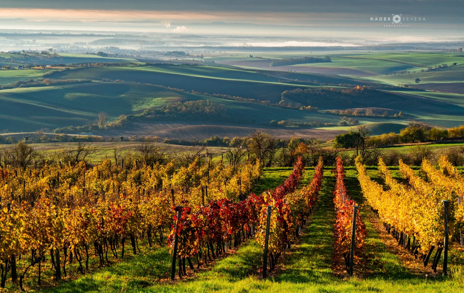 Autumn misty morning in Moravian Tuscany photography