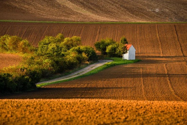 A field chapel set in the open landscape of Moravian Tuscany