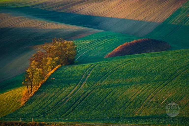 Copse moravian tuscany martin kamin remizek moravske toskansko