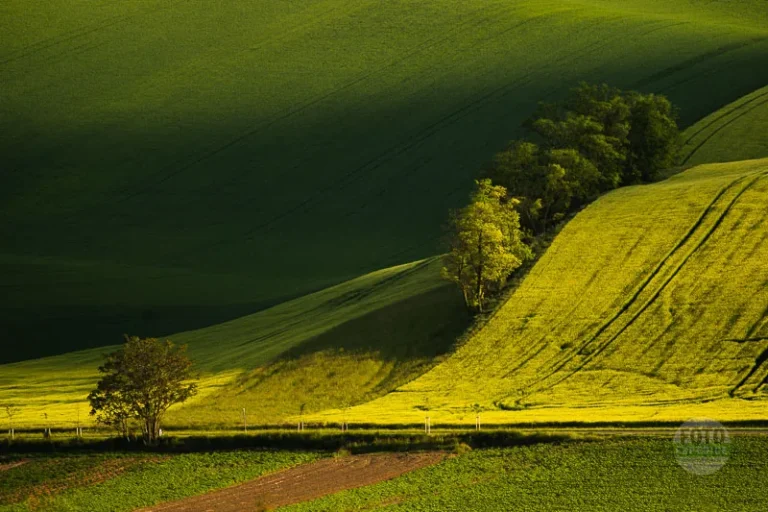 Green landscape spring moravian tuscany martin kamin