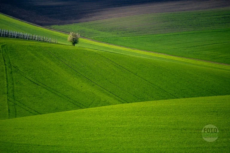 Green landscape spring moravian tuscany martin kamin moravske toskansko jaro