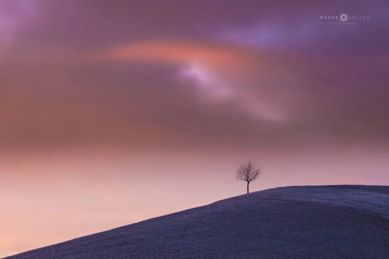 Isolated tree in winter january in Moravian Tuscany by Radek Severa moravske toskansko