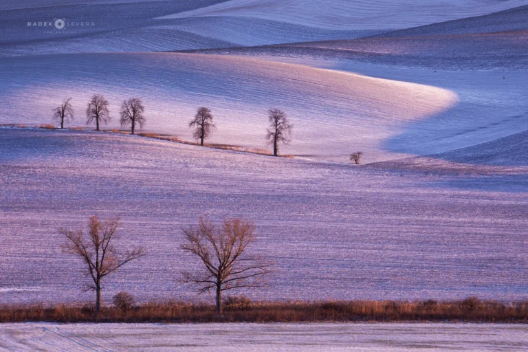 The hills under February snow, Moravian Tuscany in winter