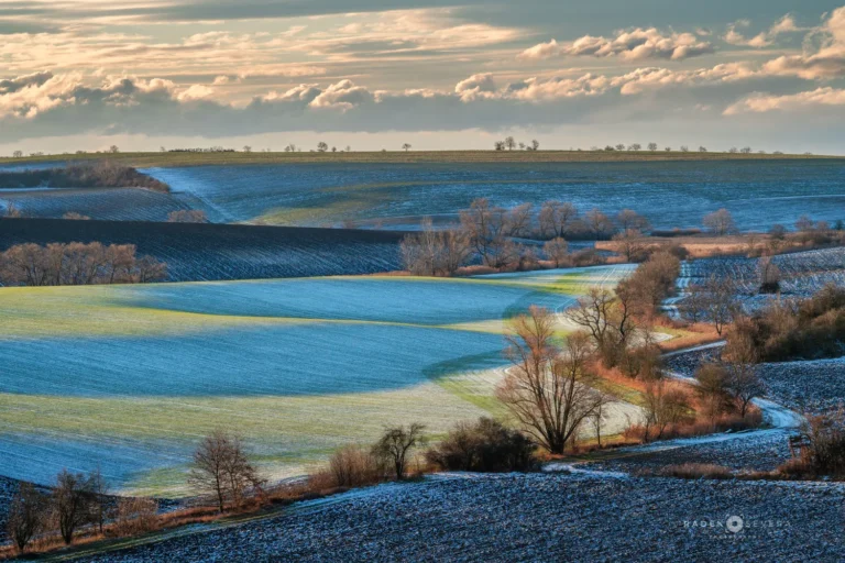 Winter landscape in January in Moravian Tuscany by Radek Severa moravske toskansko