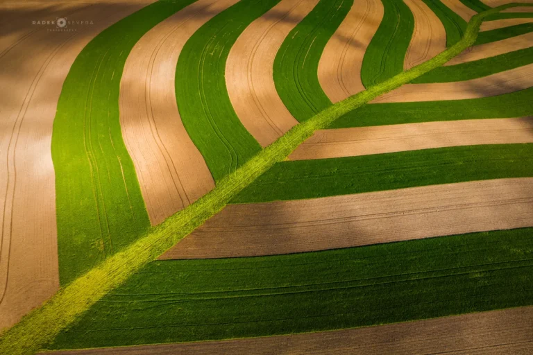 Leaf landscape lines in Moravian Tuscany aerial view by Radek Severa moravske toskansko krajina