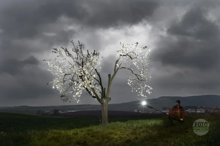 Lighting the tree in spring moravian tuscany martin kamin