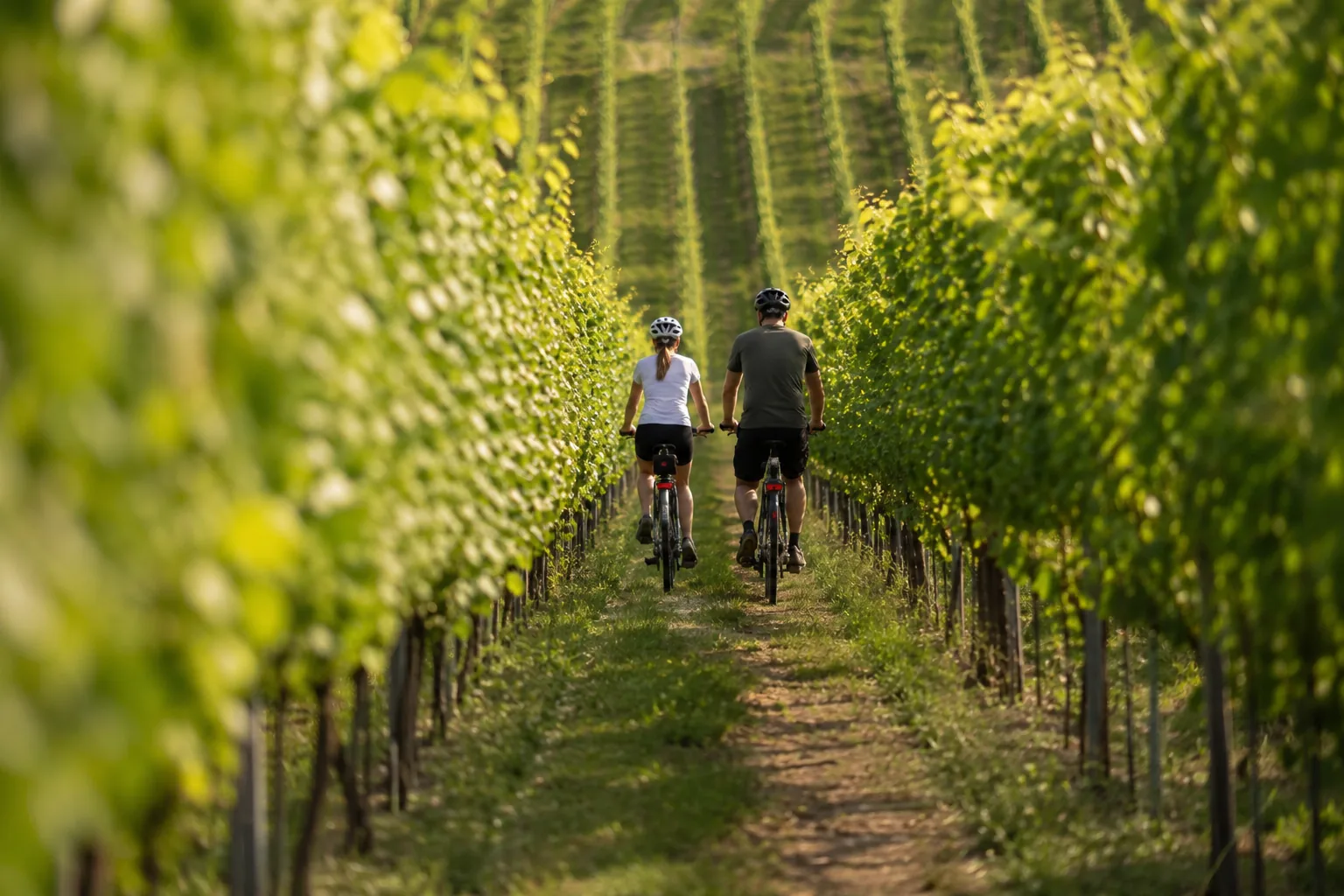 cycling and hiking in moravian tuscany