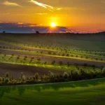Moravian Tuscany landscape rolling hills at sunset photography by Jan Musil