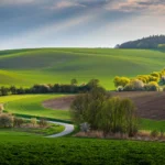 Moravian Tuscany Landscape