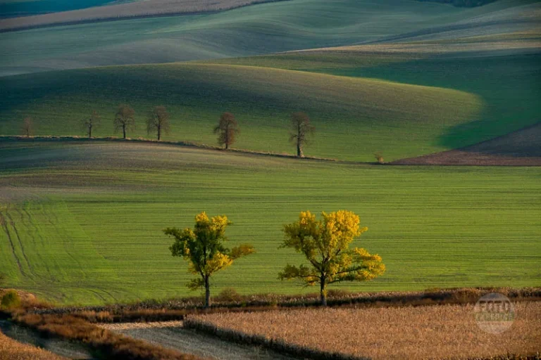 Moravian tuscany landscape view martin kamin moravske toskansko