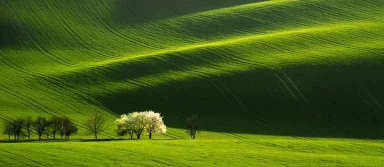 Moravian Tuscany rolling landscape and blooming trees in spring by Radek Severa