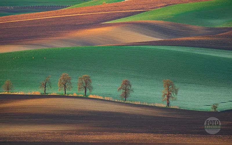 Moravian Tuscany rolling hills landscape and waves photo by Martin Kamin