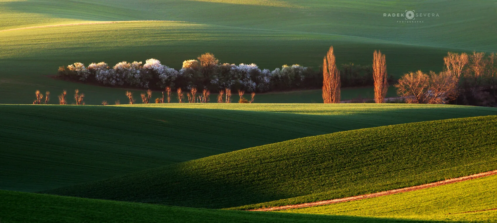 Dawn light over the rolling hills of Moravian Tuscany in the Slovácko region