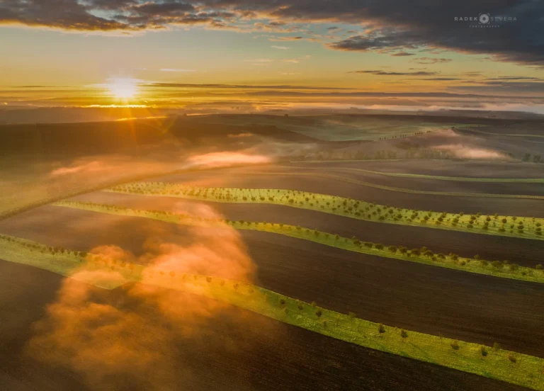 Orchard line landscape view in Sardice in Moravian Tuscany by Radek Severa moravske toskansko