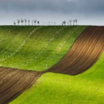 Orchard lines rolling hills sardice moravian tuscany martin kamin sardicke biopasy