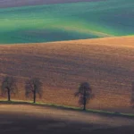 Panorama chesnut trees moravian tuscany martin kamin