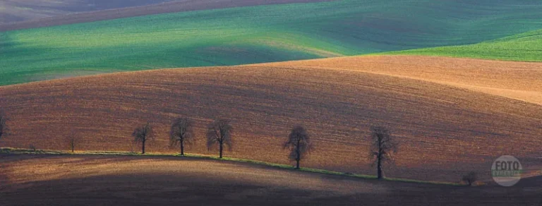 Panorama chesnut trees moravian tuscany martin kamin