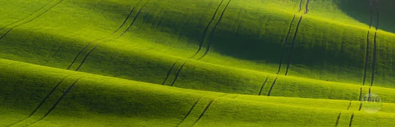 Panorama green carpet landscape moravian tuscany martin kamin moravske toskansko
