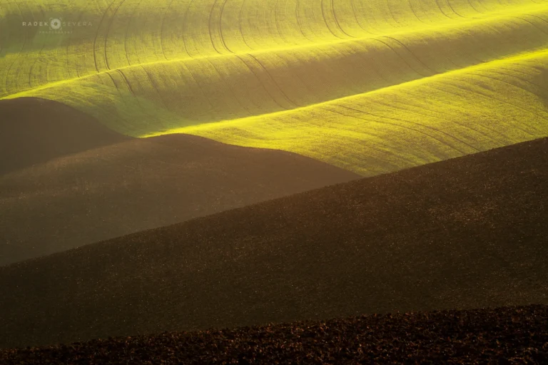 Rolling hills field carpet in Moravian Tuscany by Radek Severa moravske toskansko