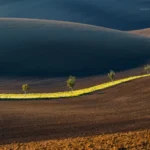 Rolling hills green tree line in brown field in Moravian Tuscany by Radek Severa moravske toskansko