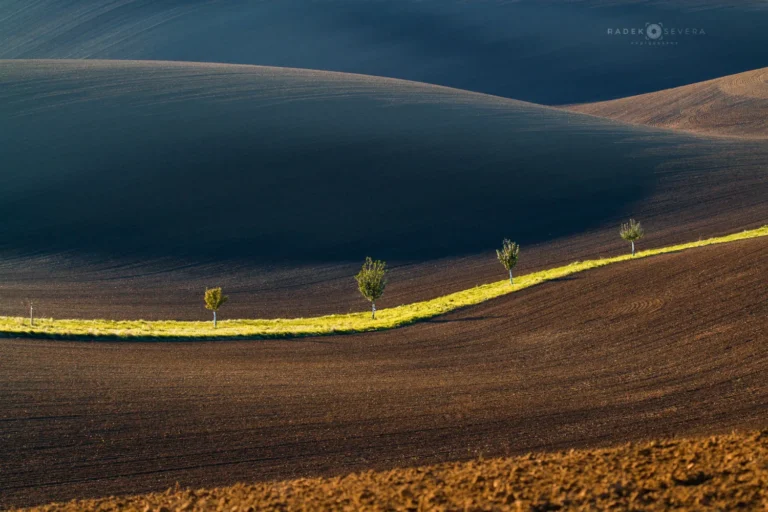 Rolling hills green tree line in brown field in Moravian Tuscany by Radek Severa moravske toskansko