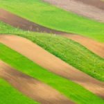Rolling hills in moravian tuscany martin kamin