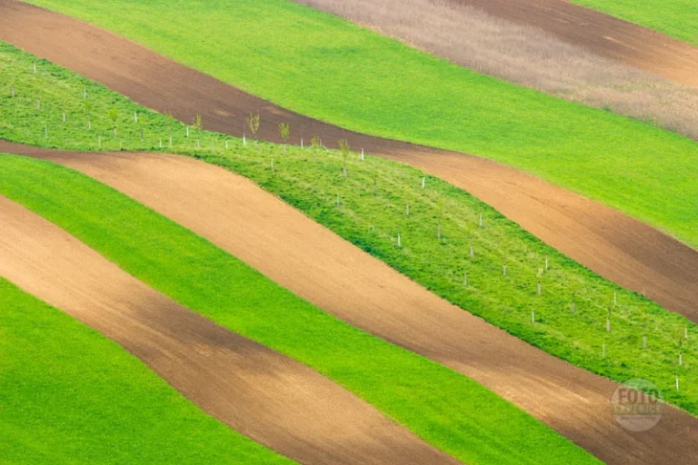 Rolling hills in moravian tuscany martin kamin