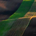 Rolling hills and landscape carpet in Moravian Tuscany by Radek Severa