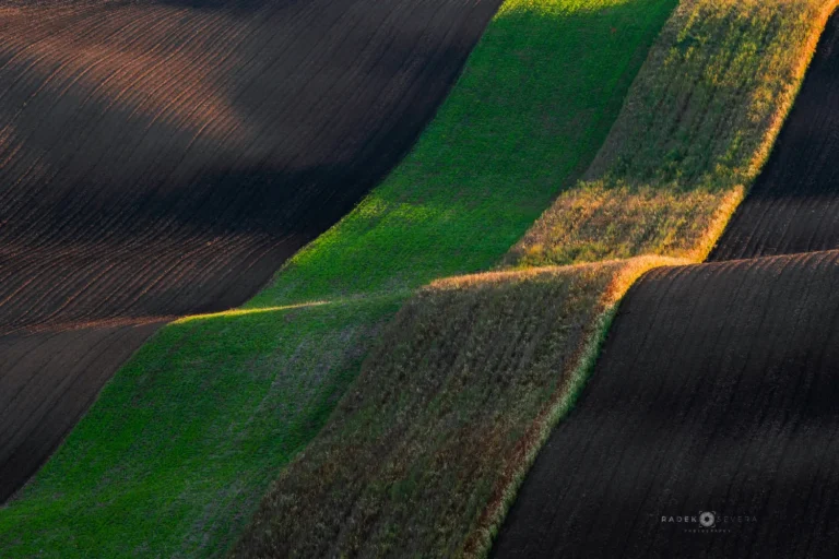 Rolling hills and landscape carpet in Moravian Tuscany by Radek Severa
