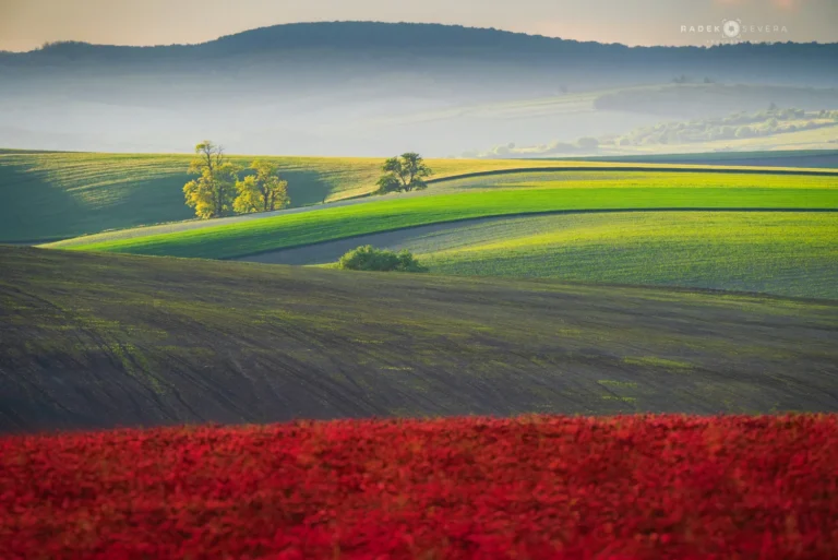 Rolling hills and landscape in spring May and red field in Moravian Tuscany by Radek Severa moravske toskansko