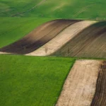 Rolling hills landscape moravian tuscany martin kamin
