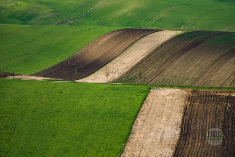 Rolling hills landscape moravian tuscany martin kamin