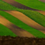 Rolling hills landscape moravian tuscany martin kamin moravske toskansko workshop
