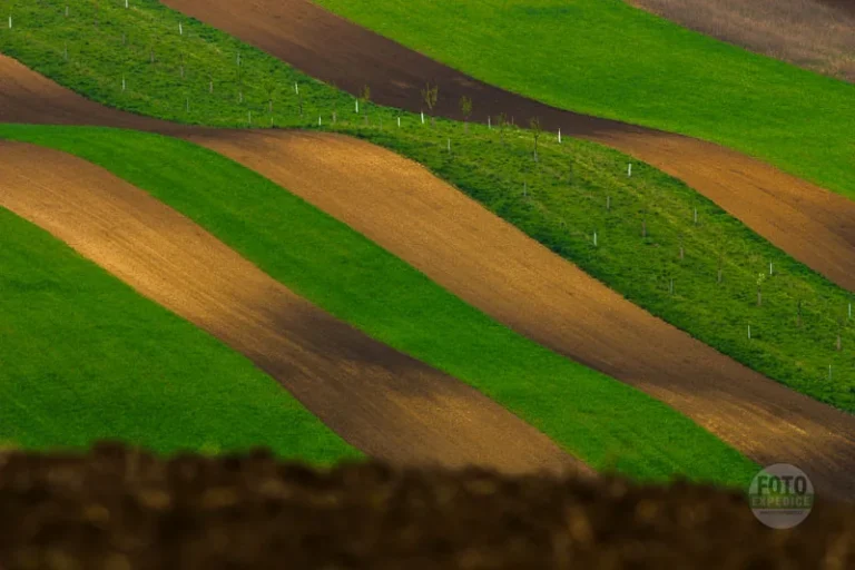 Rolling hills landscape moravian tuscany martin kamin moravske toskansko workshop