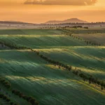 Rolling hills landscape in Moravian Tuscany Palava view by Radek Severa sardicke biopasy moravske toskansko