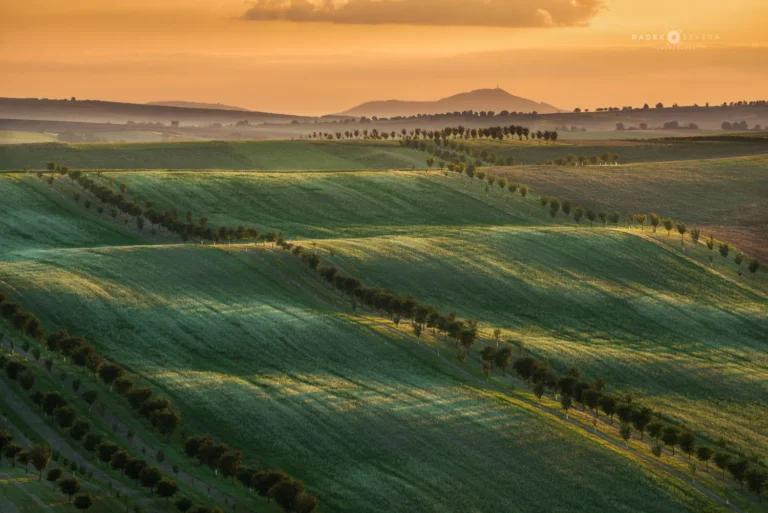 Rolling hills landscape in Moravian Tuscany Palava view by Radek Severa sardicke biopasy moravske toskansko