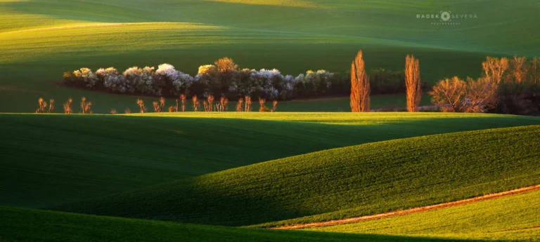 Spring green rolling hills of Moravian Tuscany