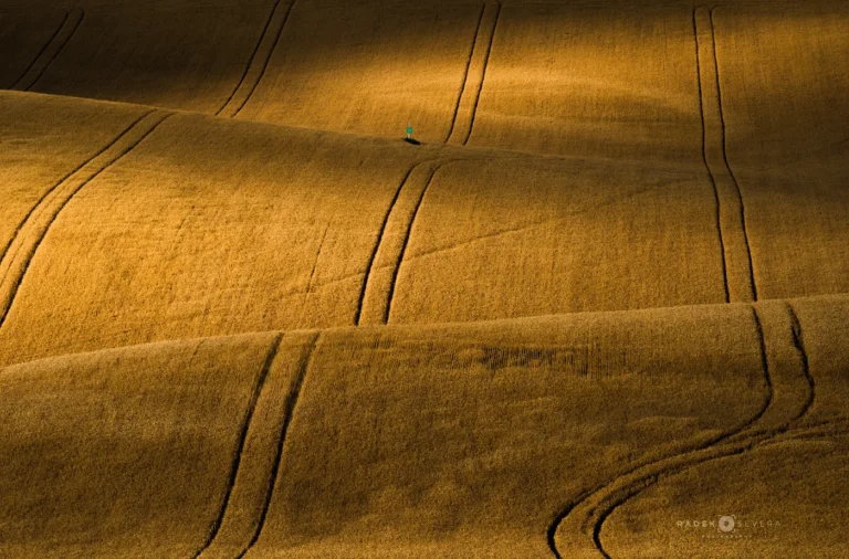 Rolling hills lines in field in summer in Moravian Tuscany by Radek Severa