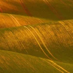 Rolling hills moravian tuscany Martin Kamin moravske toskansko