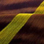 Rolling hills ribbon in Moravian Tuscany by Radek Severa stuha moravske toskansko