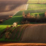 Rolling hills in spring Moravian Tuscany by Radek Severa moravske toskansko