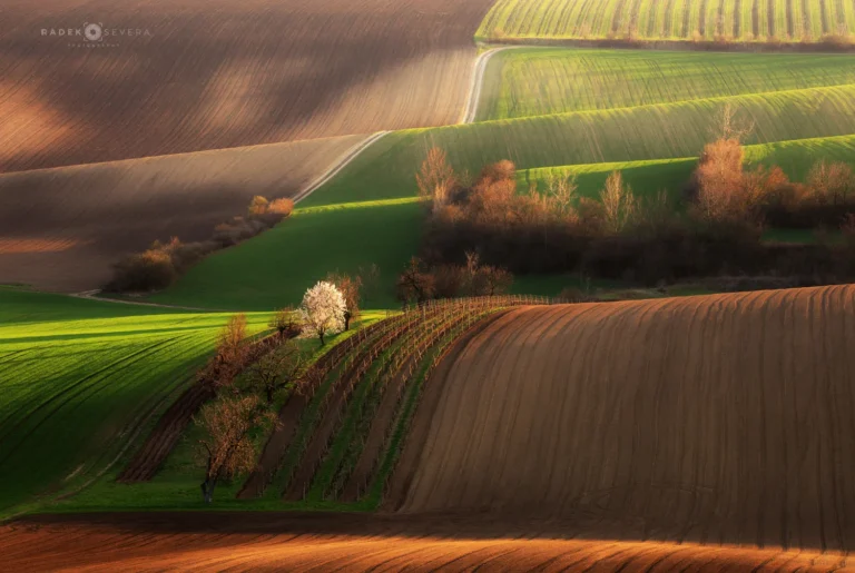 Rolling hills in spring Moravian Tuscany by Radek Severa moravske toskansko