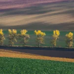 Tree line in moravian tuscany landscape martin kamin