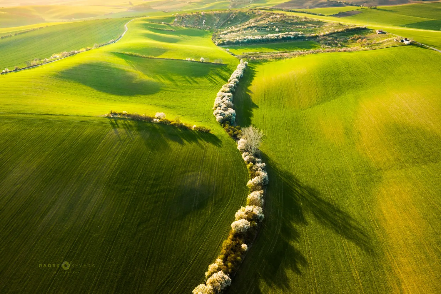 Moravian Tuscany photography: Green landscape and valley near Svatoborice Mistrin by Radek Sever