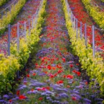 Vineyard wildflowers and red poppies in Moravian Tuscany by Radek Severa