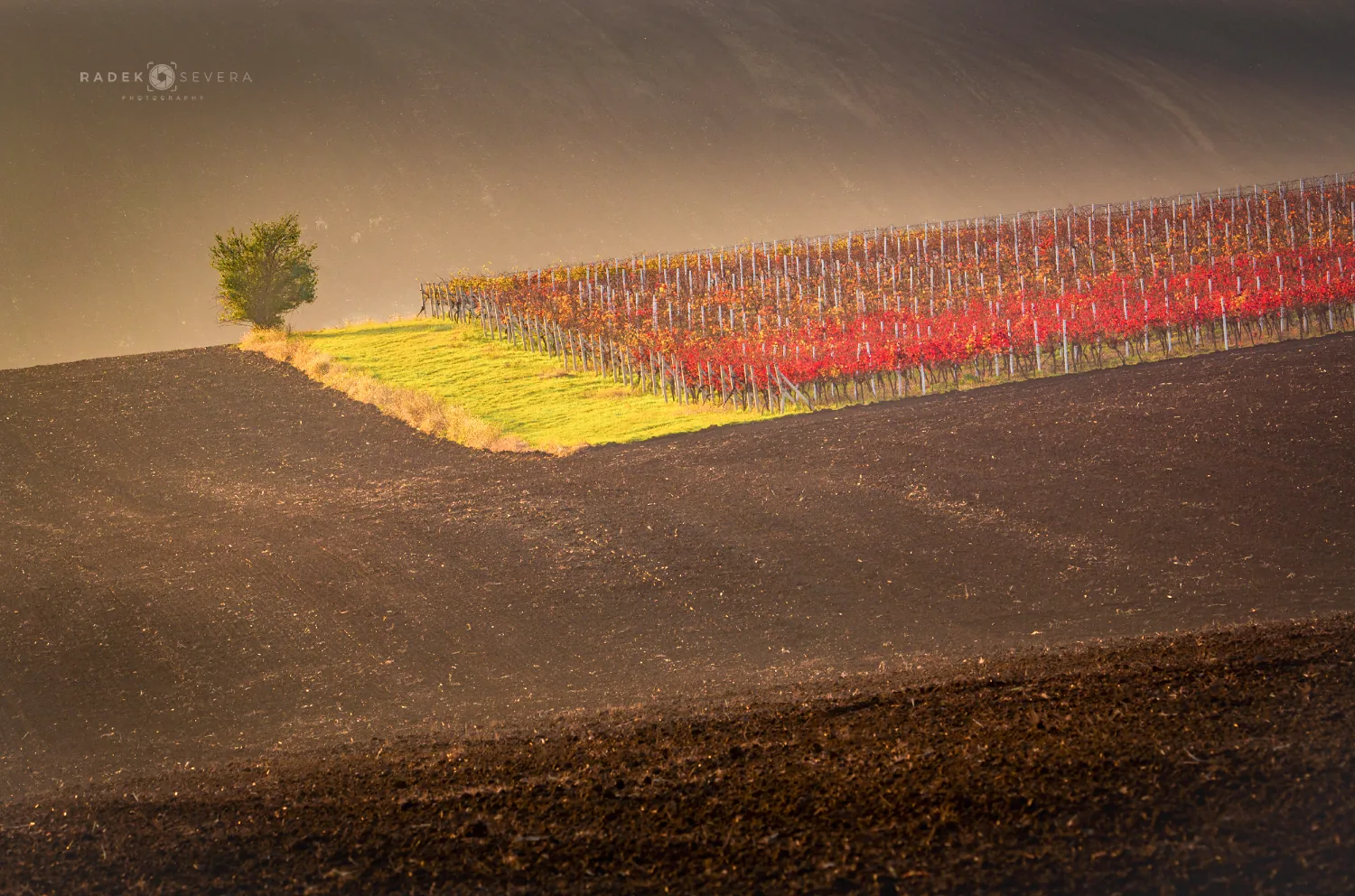 The Vrbice vineyard terraces in autumn