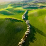Wavy landscape aerial view in spring april tree line in Moravian Tuscany by Radek Severa Moravske Toskansko