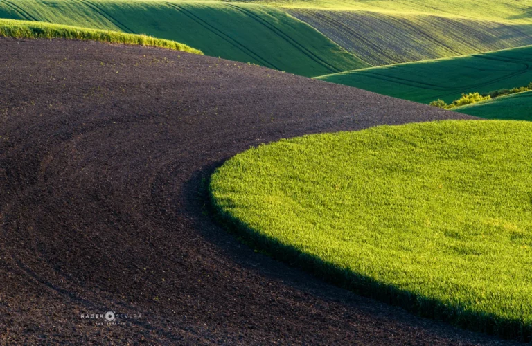 Rolling hills in May, the three weeks when the landscape is at its greenest