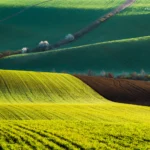 Wavy landscape rolling hills in Moravian Tuscany by Radek Severa Moravské Toskánsko